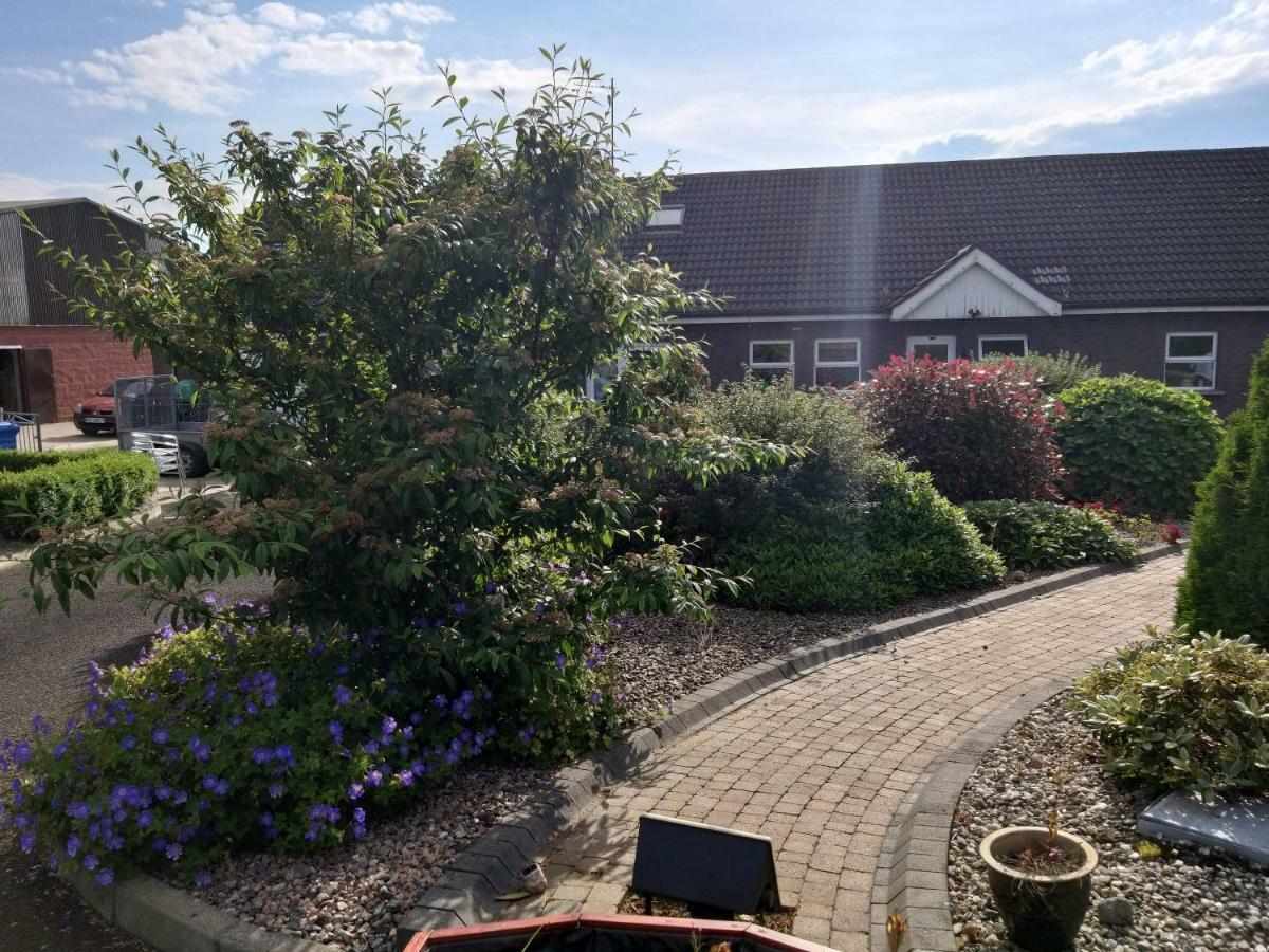 Antrim Heights Bnb Exterior foto